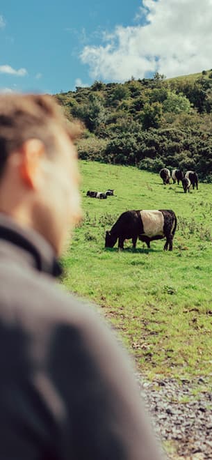 Raspberry millefeuille with cream on a ceramic plate