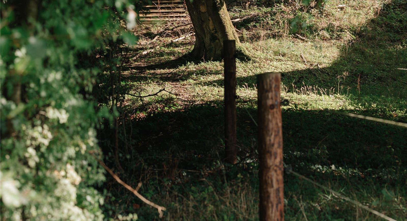 The guesthouse sitting room with fireside chairs and warm tones