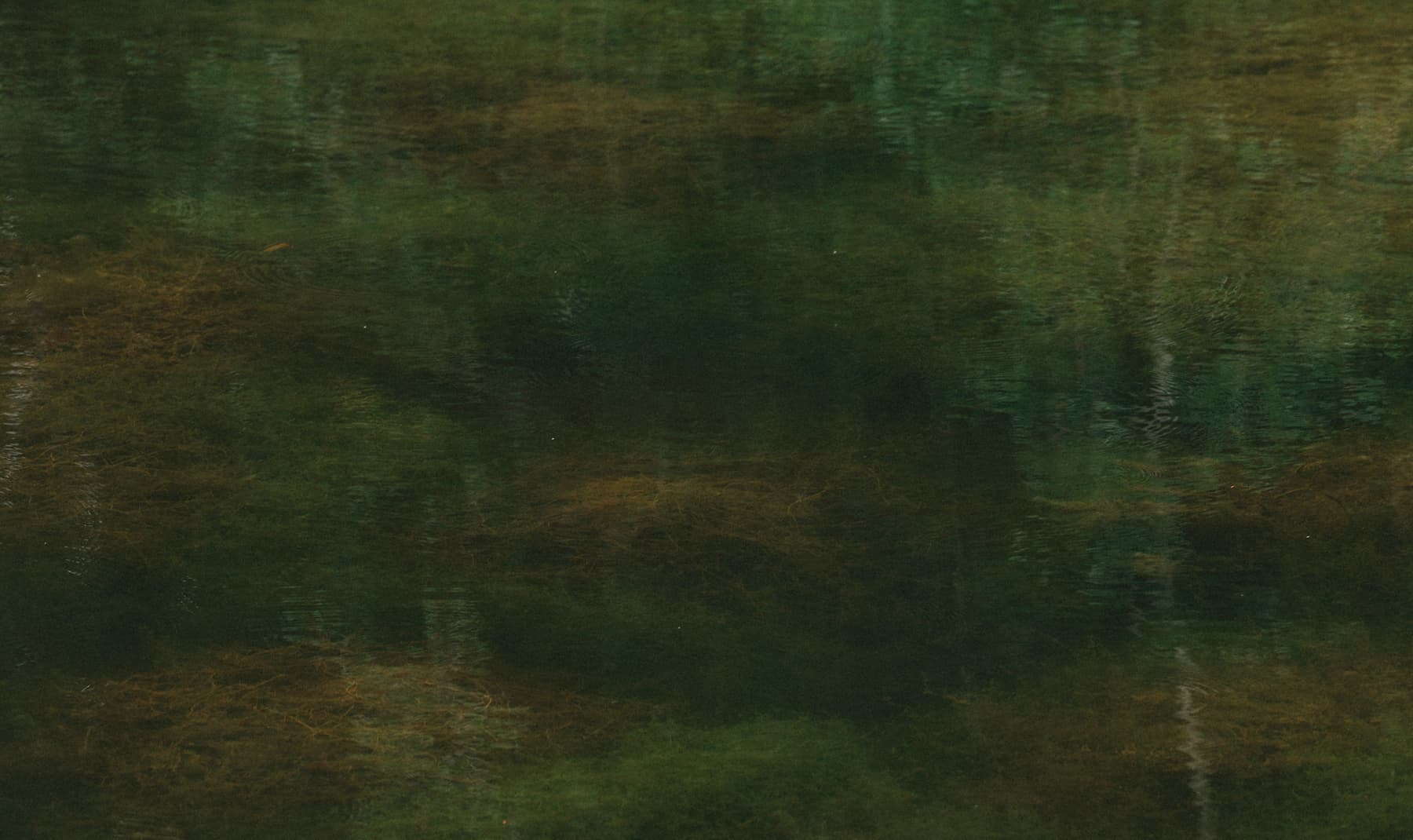 Architectural render of the Ómós entrance with stone walls, copper roof and garden path