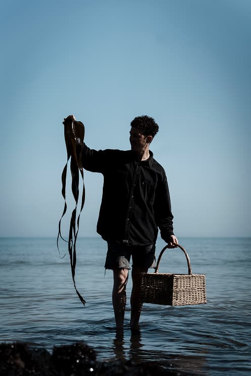 Rows of wildflowers and cutting beds in the Ómós garden