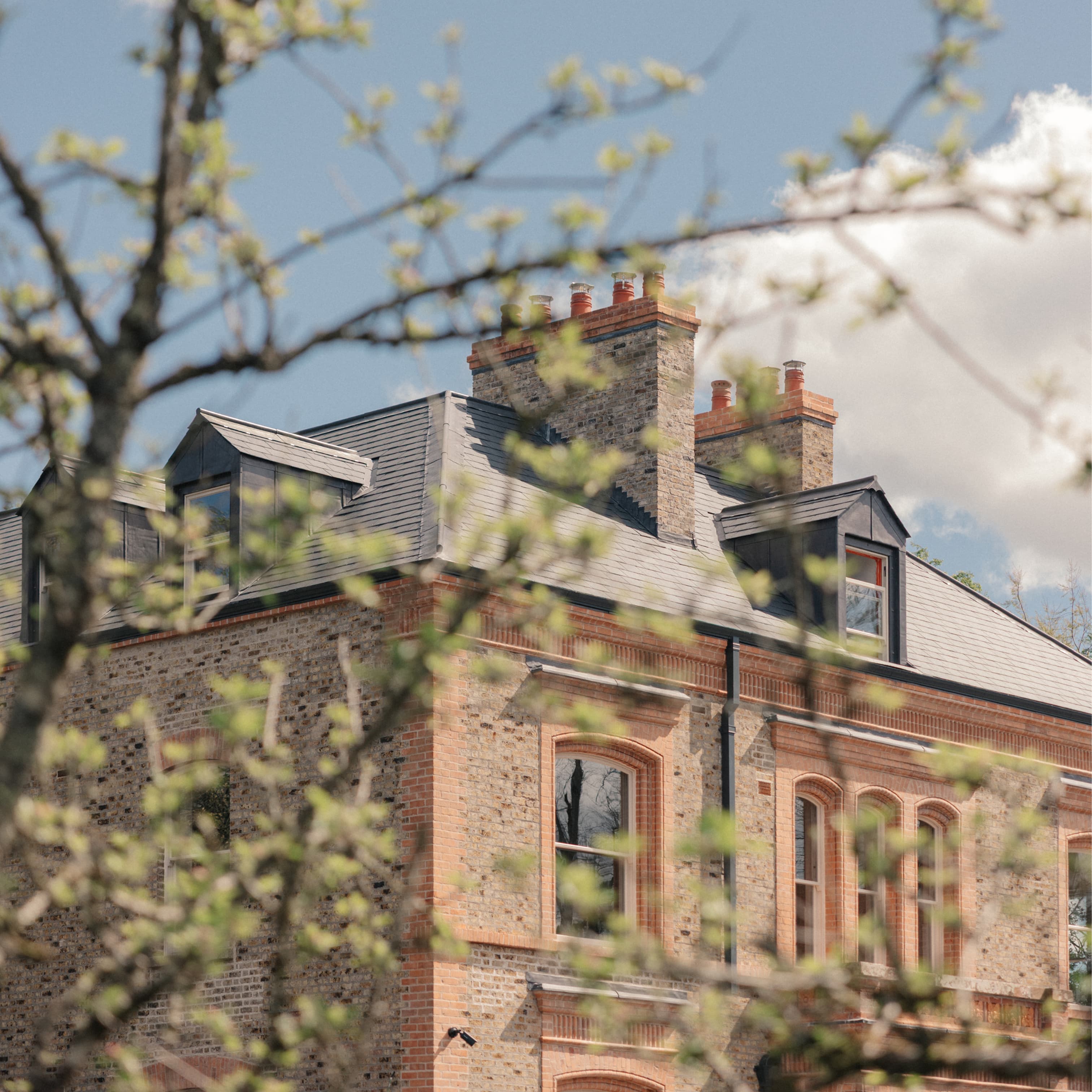 Fresh spring leaves on the trees in front of the Ómós guesthouse