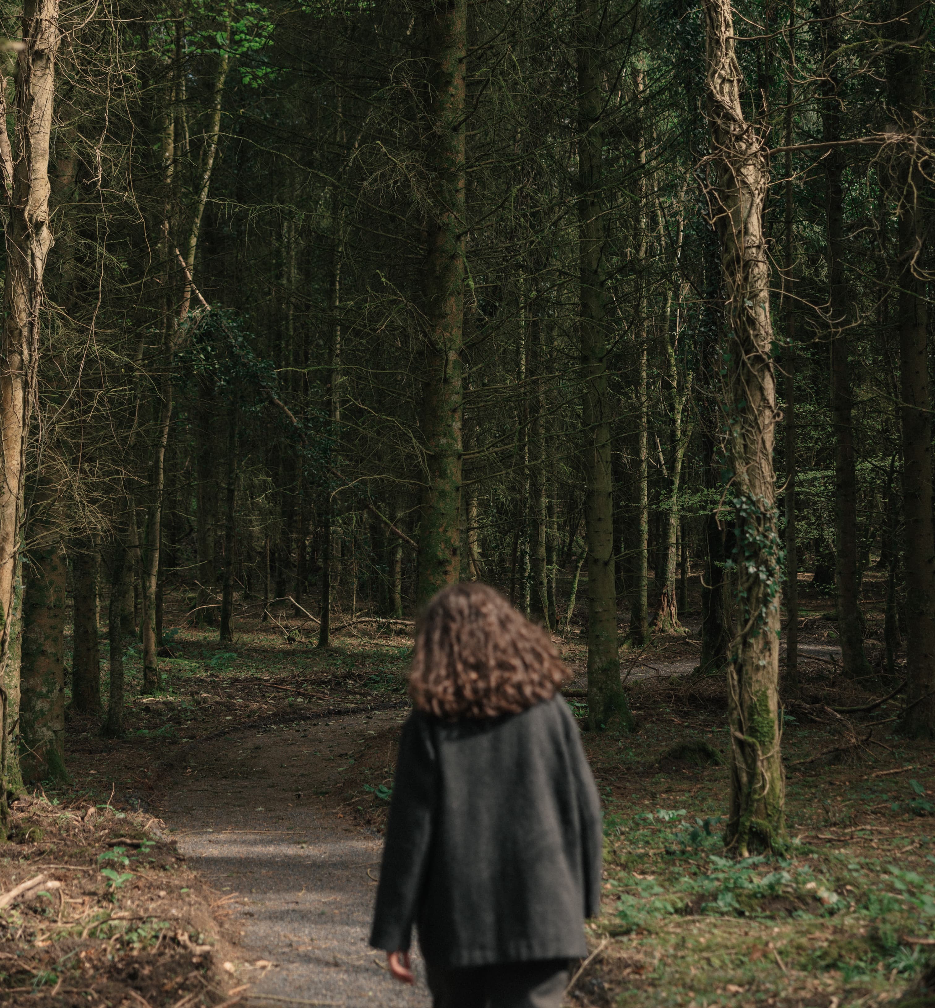 A figure walking along a forest path through tall trees